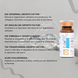 BTX DM CELL