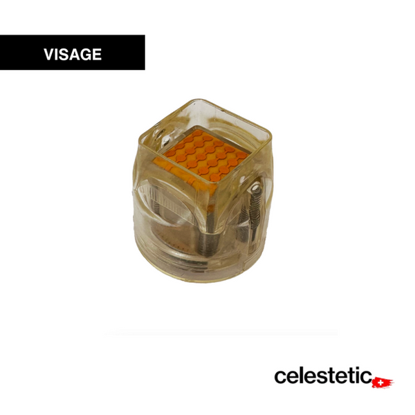 EMBOUT UPSKIN visage